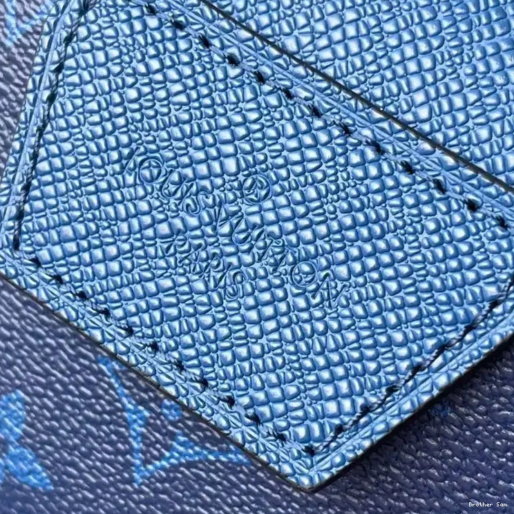 Brother Sam Yupoo 2204YZ0023 LV Bag 0803